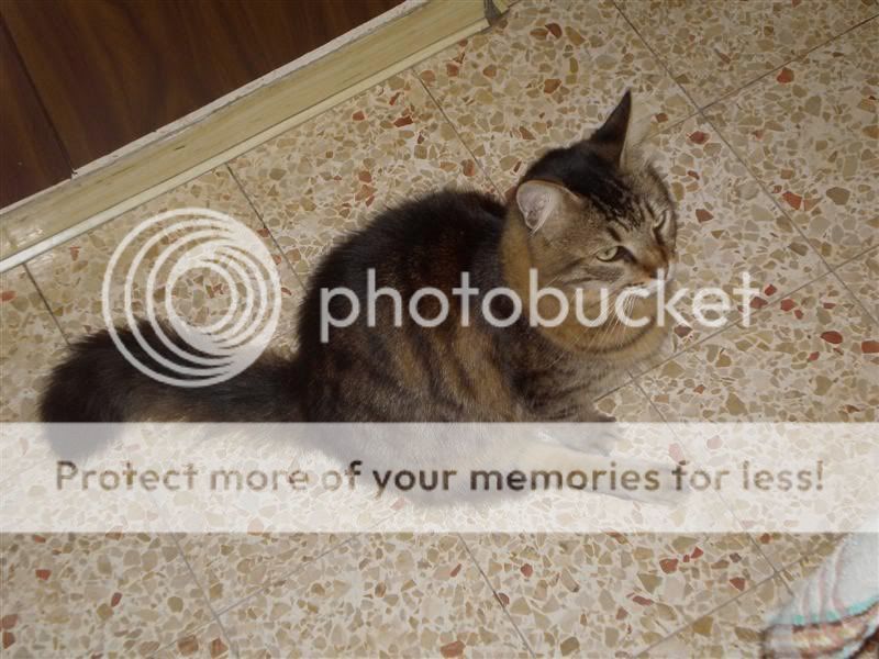 Photobucket