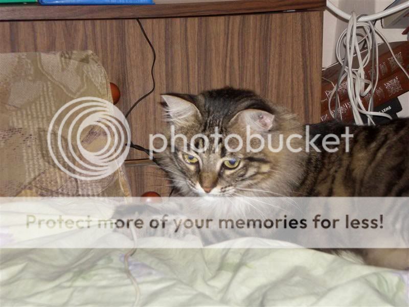 Photobucket