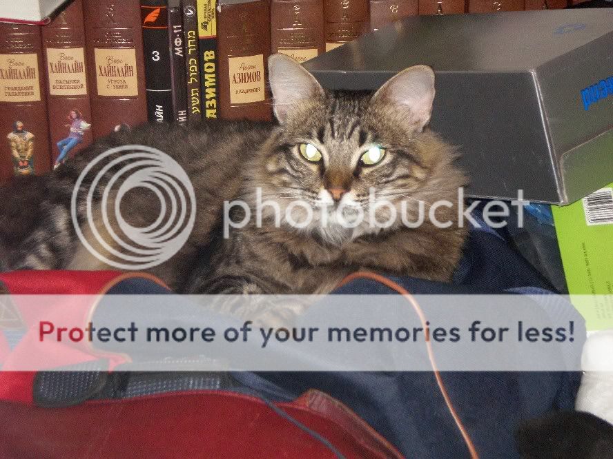 Photobucket