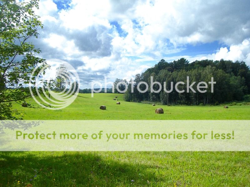 photo IMG_6580.jpg