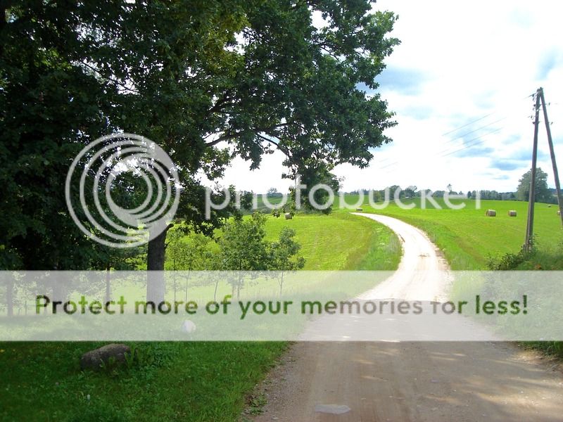 photo IMG_6588.jpg