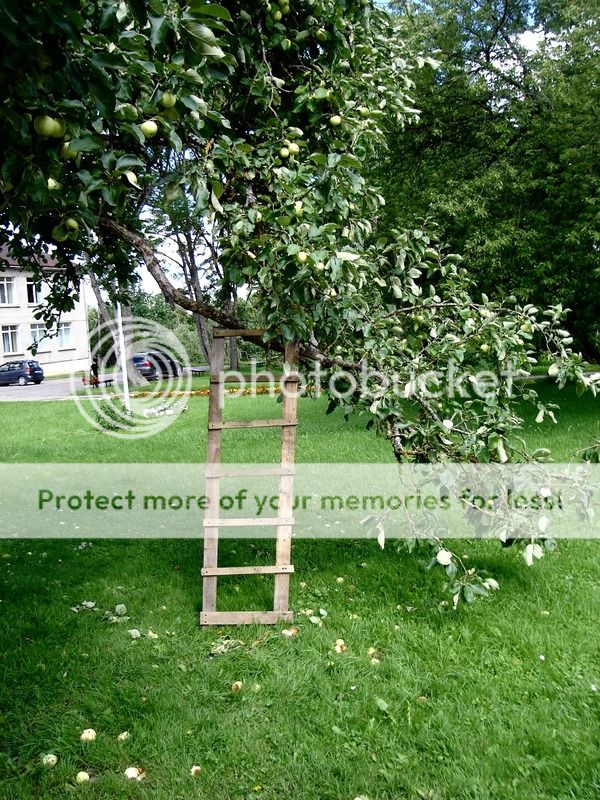 photo IMG_6630.jpg