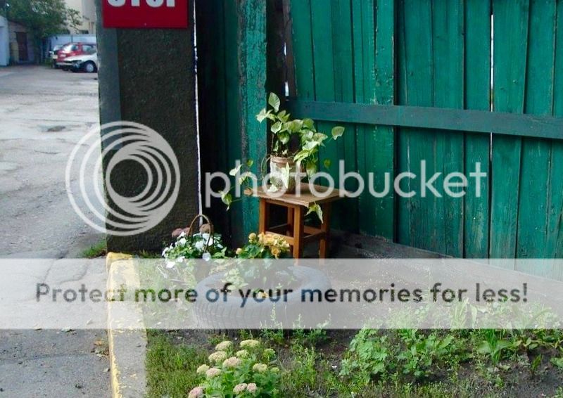 photo image_7.jpeg